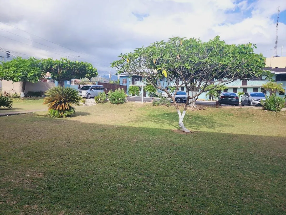 One Stop At Valencia Court Apts Near Usa Embassy Apartment Kingston Jamaica